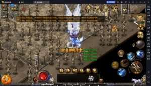 白日门传奇【老道传奇修真版】单职业版本+架设教程+GM物品充值后台-元码工坊